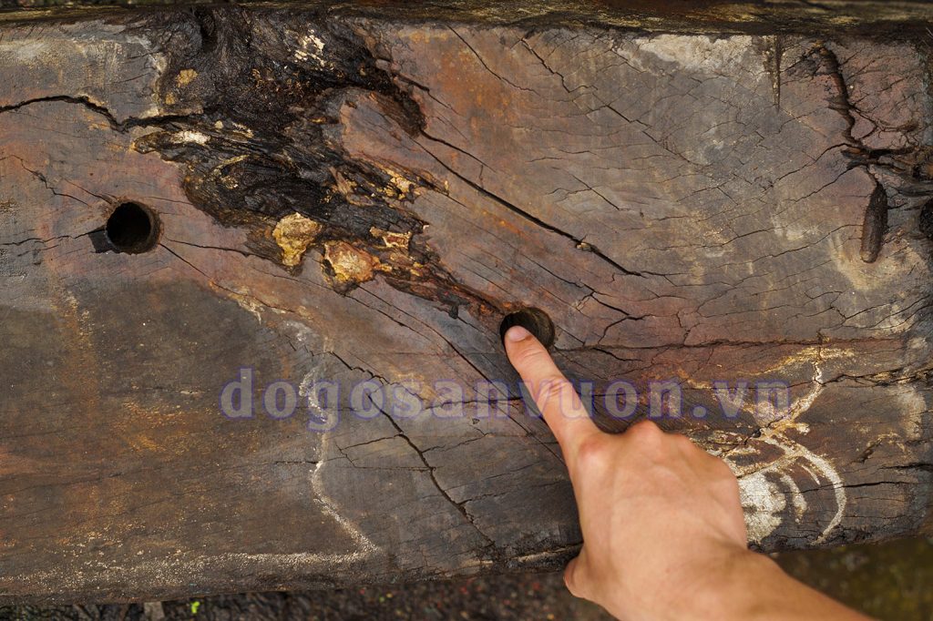 Vết tích đinh tàu và nứt nẻ theo thời gian của gỗ thô